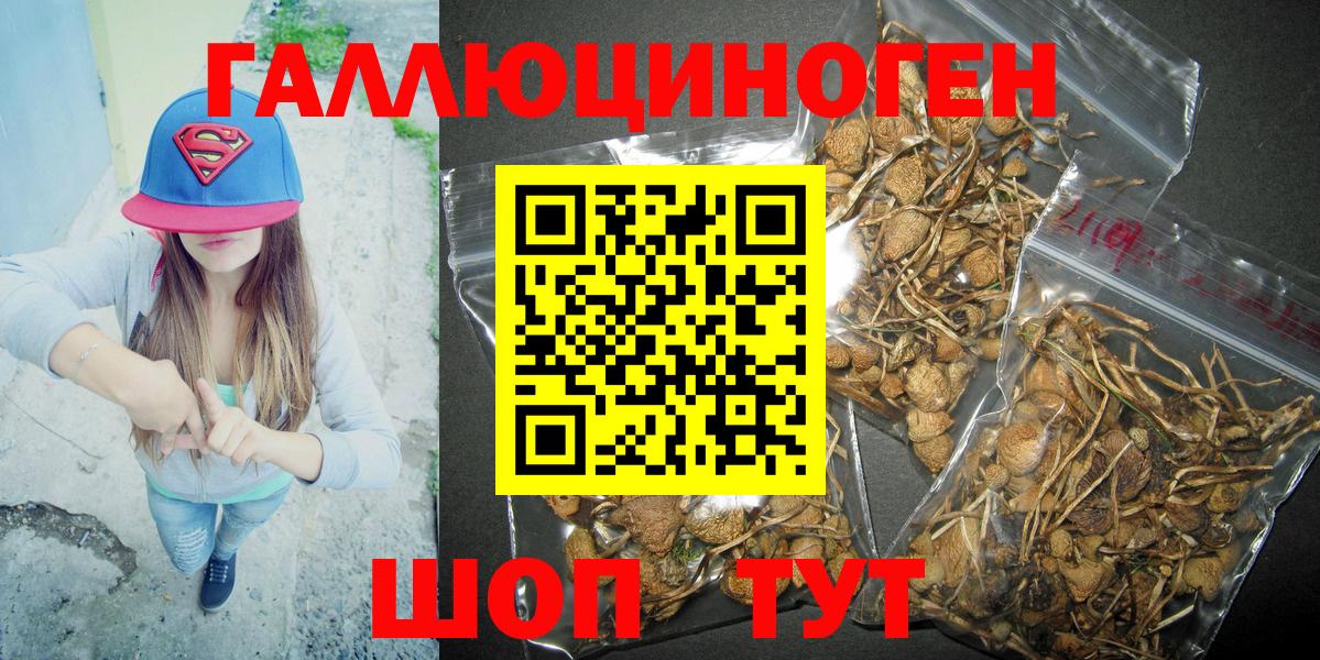 Копейск  Галлюциногенные грибы Magic Shrooms  Вход с VPN 