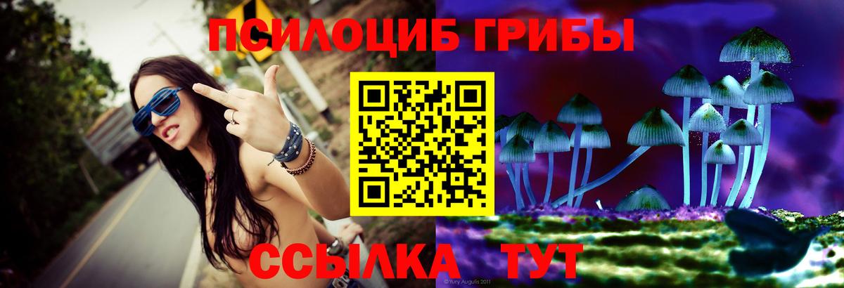 Галлюциногенные грибы мицелий Копейск
